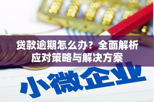 光明新区贷款逾期怎么办？全面解析应对策略与解决方案
