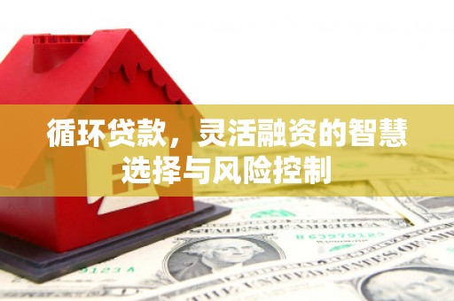 光明新区循环贷款，灵活融资的智慧选择与风险控制