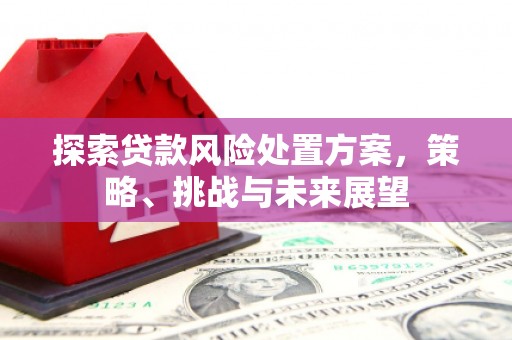 光明新区探索贷款风险处置方案，策略、挑战与未来展望