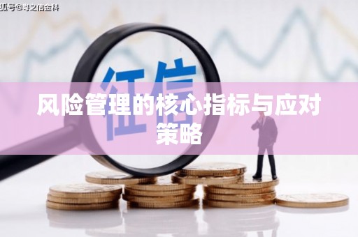 光明新区风险管理的核心指标与应对策略