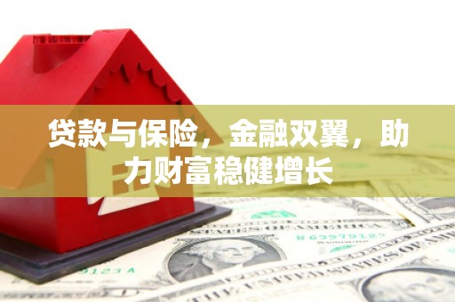 光明新区贷款与保险，金融双翼，助力财富稳健增长