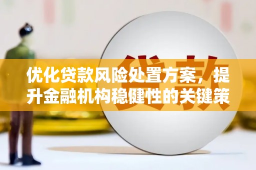 光明新区优化贷款风险处置方案，提升金融机构稳健性的关键策略