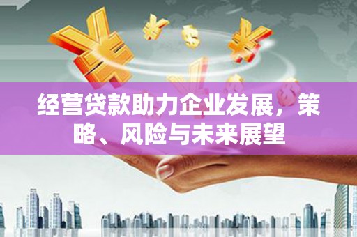 光明新区经营贷款助力企业发展，策略、风险与未来展望