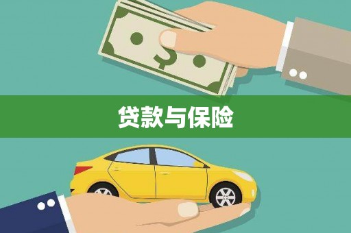 光明新区贷款与保险