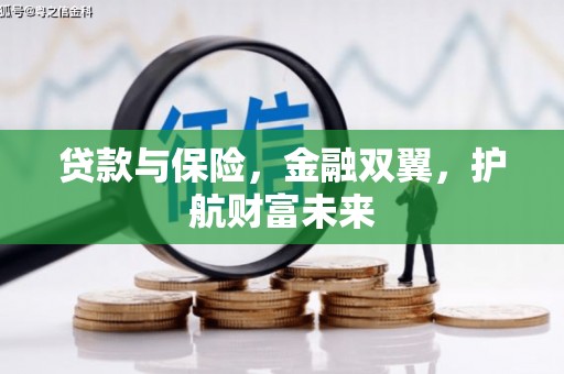 光明新区贷款与保险，金融双翼，护航财富未来