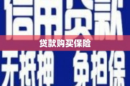 光明新区贷款购买保险