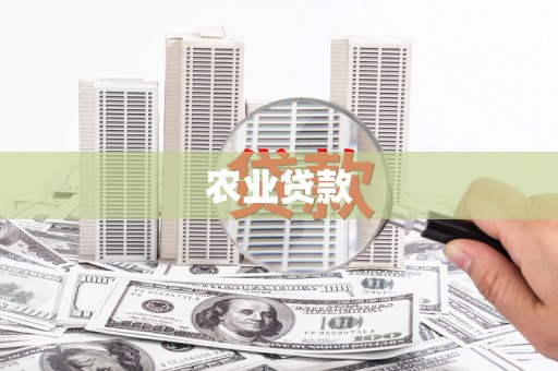 光明新区农业贷款