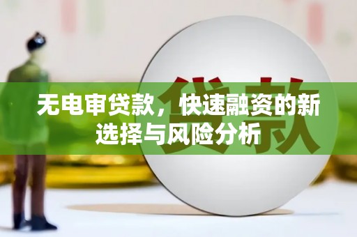 光明新区无电审贷款，快速融资的新选择与风险分析