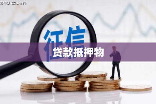 光明新区贷款抵押物