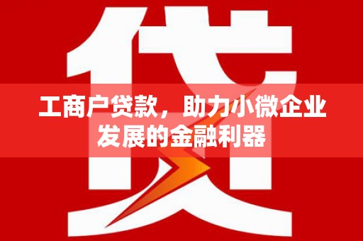 光明新区工商户贷款，助力小微企业发展的金融利器