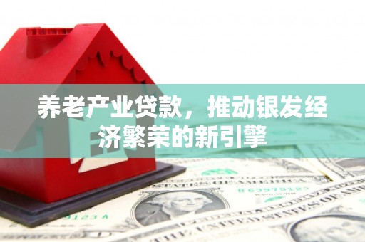 光明新区养老产业贷款，推动银发经济繁荣的新引擎