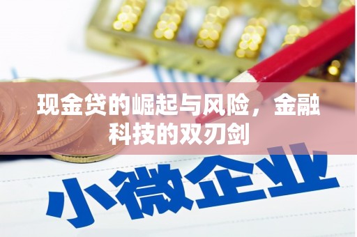 光明新区现金贷的崛起与风险，金融科技的双刃剑