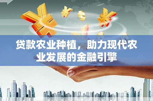 光明新区贷款农业种植，助力现代农业发展的金融引擎