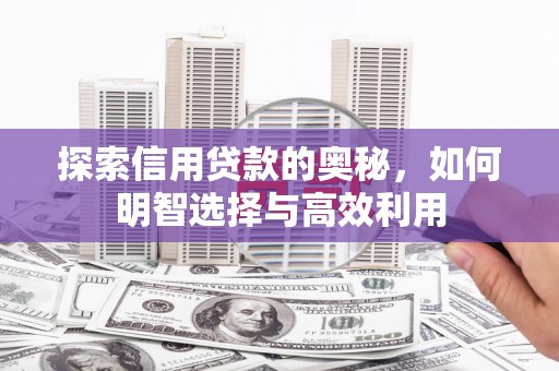 光明新区探索信用贷款的奥秘，如何明智选择与高效利用
