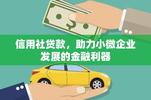 光明新区信用社贷款，助力小微企业发展的金融利器