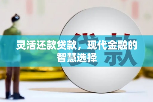 光明新区灵活还款贷款，现代金融的智慧选择