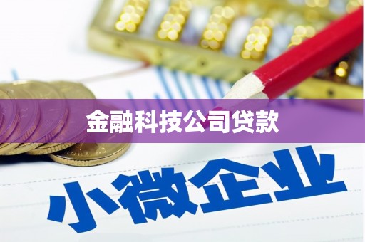 光明新区金融科技公司贷款