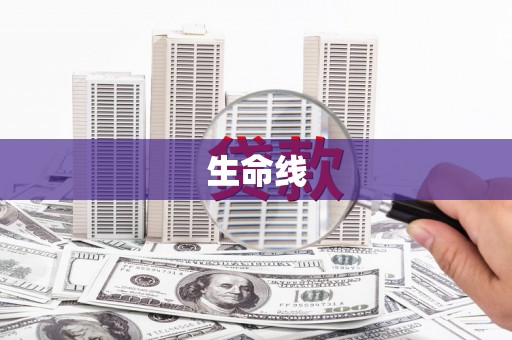 光明新区生命线