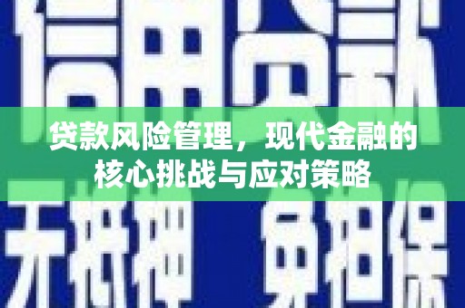 光明新区贷款风险管理，现代金融的核心挑战与应对策略