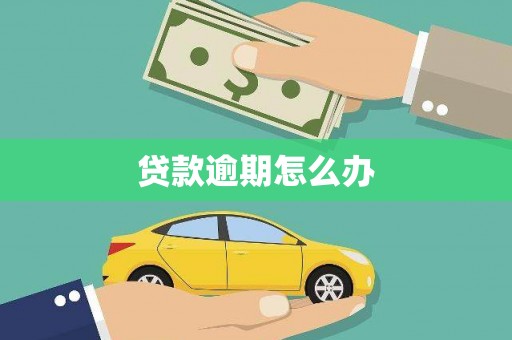 光明新区贷款逾期怎么办