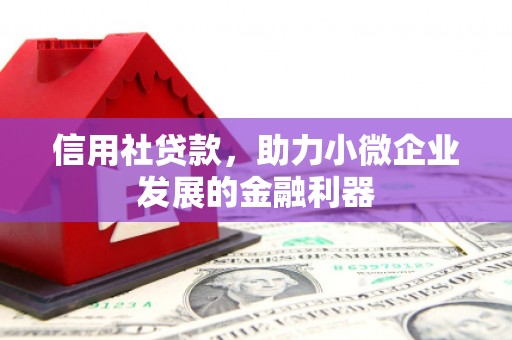 光明新区信用社贷款，助力小微企业发展的金融利器