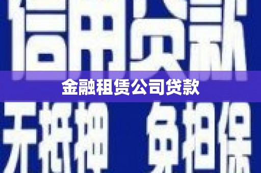 光明新区金融租赁公司贷款