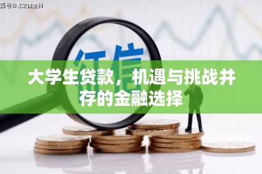 光明新区大学生贷款，机遇与挑战并存的金融选择