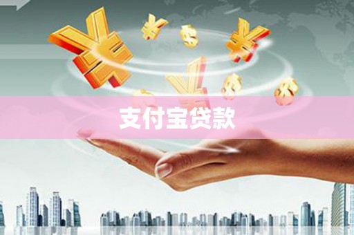 光明新区支付宝贷款