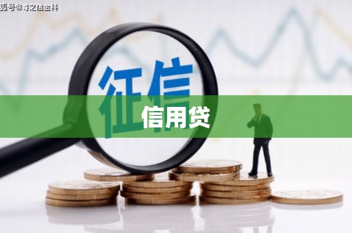 光明新区信用贷