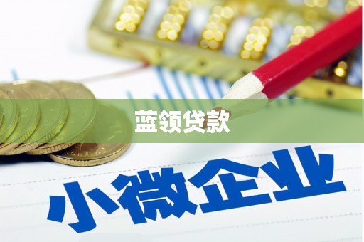 光明新区蓝领贷款