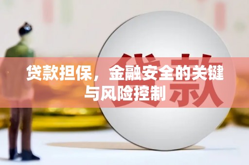 光明新区贷款担保，金融安全的关键与风险控制