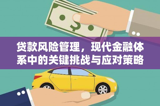 光明新区贷款风险管理，现代金融体系中的关键挑战与应对策略