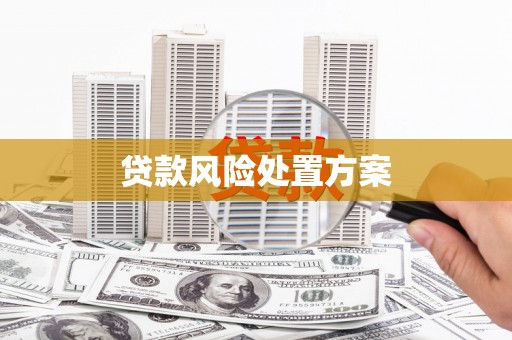 光明新区贷款风险处置方案