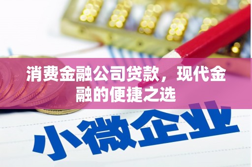 光明新区消费金融公司贷款，现代金融的便捷之选