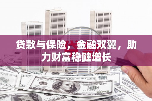 光明新区贷款与保险，金融双翼，助力财富稳健增长