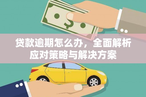 光明新区贷款逾期怎么办，全面解析应对策略与解决方案