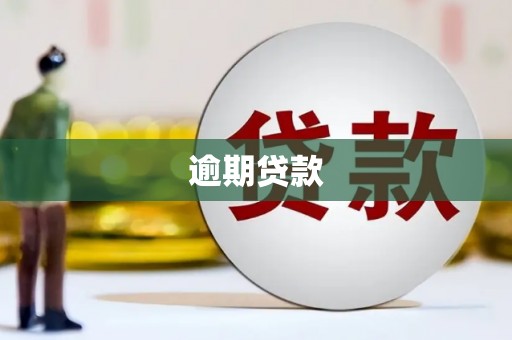 光明新区逾期贷款