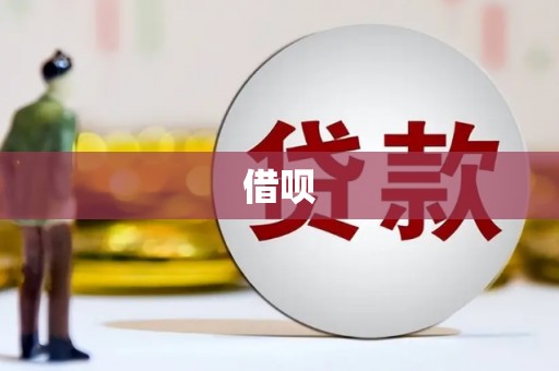 光明新区借呗