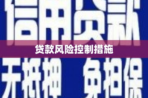 光明新区贷款风险控制措施