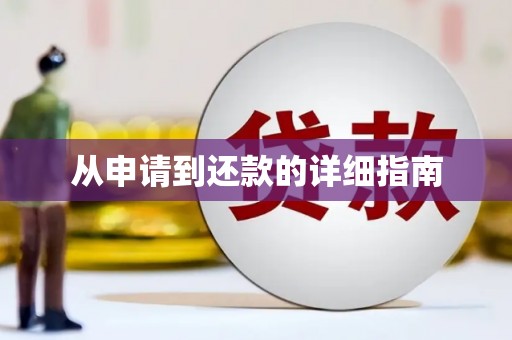 光明新区从申请到还款的详细指南