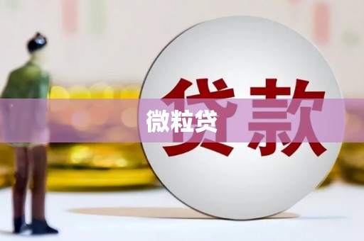 光明新区微粒贷