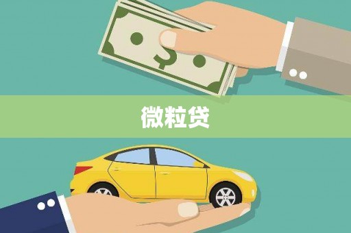 光明新区微粒贷