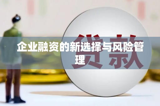 光明新区企业融资的新选择与风险管理