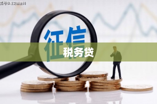 光明新区税务贷