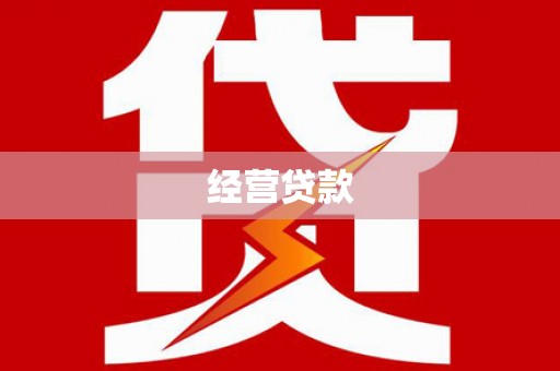 光明新区经营贷款