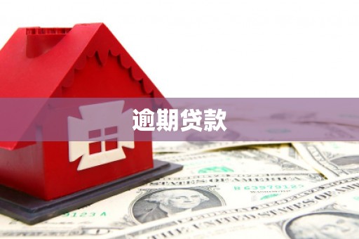 光明新区逾期贷款